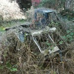 Ape 50 - covered in vines - Tuscany.jpg