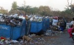 Ape at the dump India.jpg