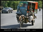 Donkey and Ape P401 - Pakistan 01.jpg