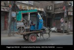 P401AR in Multan, Pakistan (donkey cart).jpg