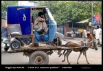 Donkey with P401AR - service call - Pakistan.jpg