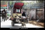 Lahore - ass backwards.JPG