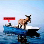 Donkey-on-slow-boat.jpg