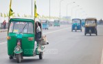 01_Cow_CNG_Auto+Rickshaw_030115_0002.jpg