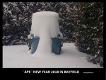 Happy New Year 2018 from Bayfield.jpg