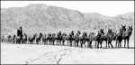 20 mule team train.jpg