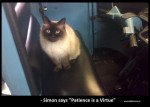 Simon says - Patience is a Virtue - Copy.jpg