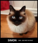 Simon passed at 17.jpg