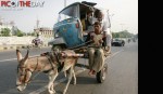 P401 on a donkey cart in Lahore, Pakistan.jpg