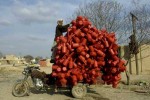 motocarro Mazar-i-Sharif  Afghanistan.jpg