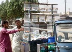 P401 fish seller Karachi.pk.jpg