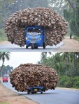 Mahindra Alfa - coconut husks  Bangalore.jpg