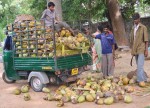 india-coconuts Bangalore.jpg