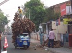 Ape coconut husks Mysore, India.JPG
