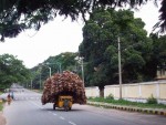 Bajaj - coconut fibre for water heating, Mysore.jpg